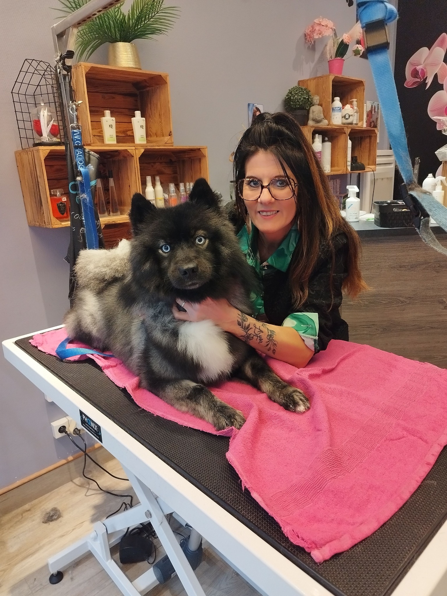 Chien sur la table de toilettage du salon Hollywood Dog
