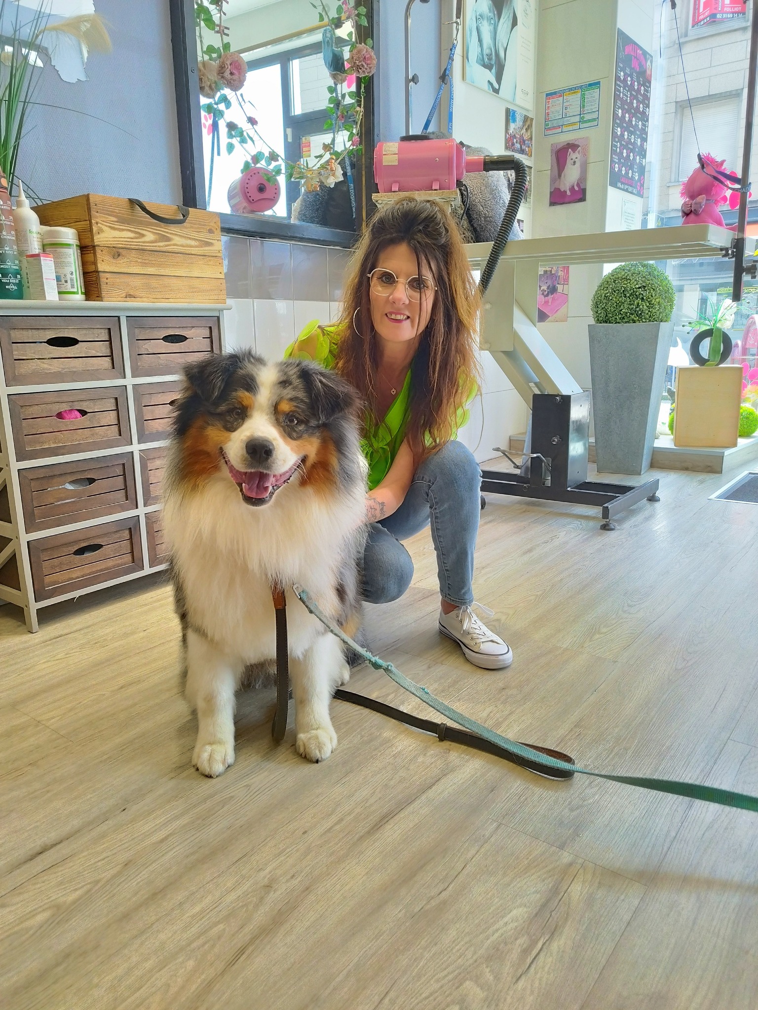 Soin du poil d'un chien à poil dur au salon